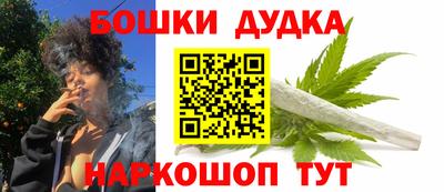крисы Будённовск