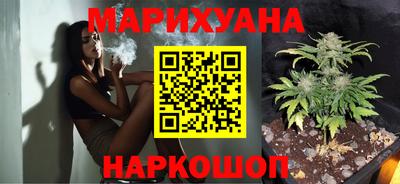 крисы Будённовск