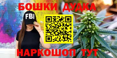крисы Будённовск