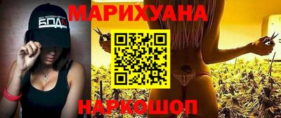 крисы Будённовск