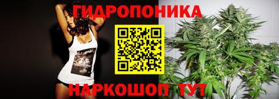 крисы Будённовск