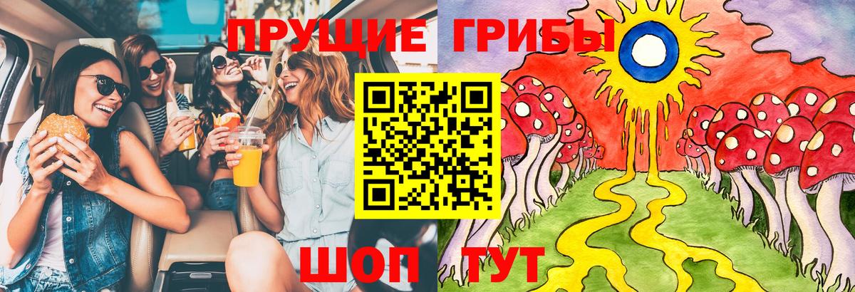 Псилоцибиновые грибы мицелий Новоуральск