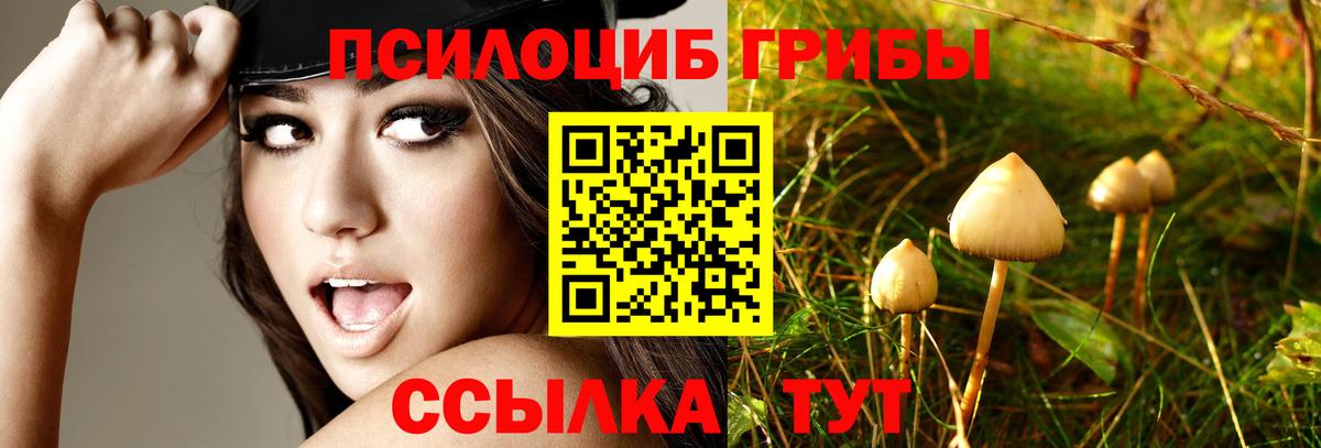 Новоуральск  Галлюциногенные грибы мицелий  Вход с VPN 